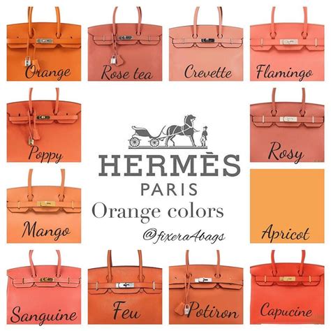 hermes cabag orange|hermes bag color chart.